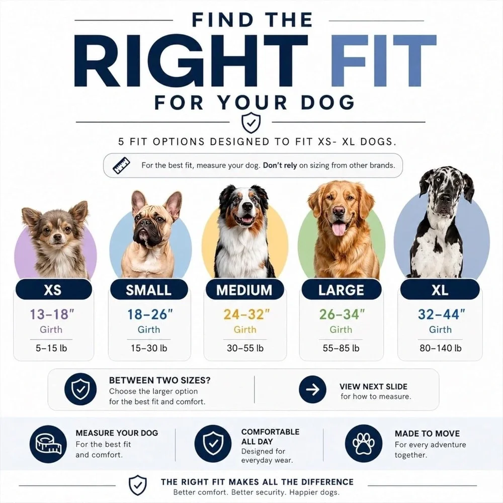 ShawnCo essential dog